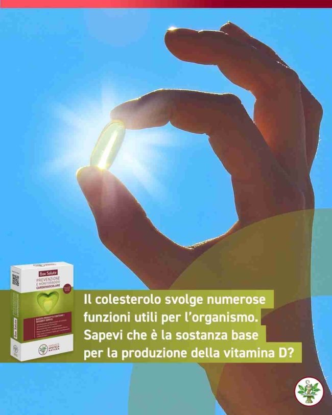 Aumento-colesterolo_4257271913270201222_n